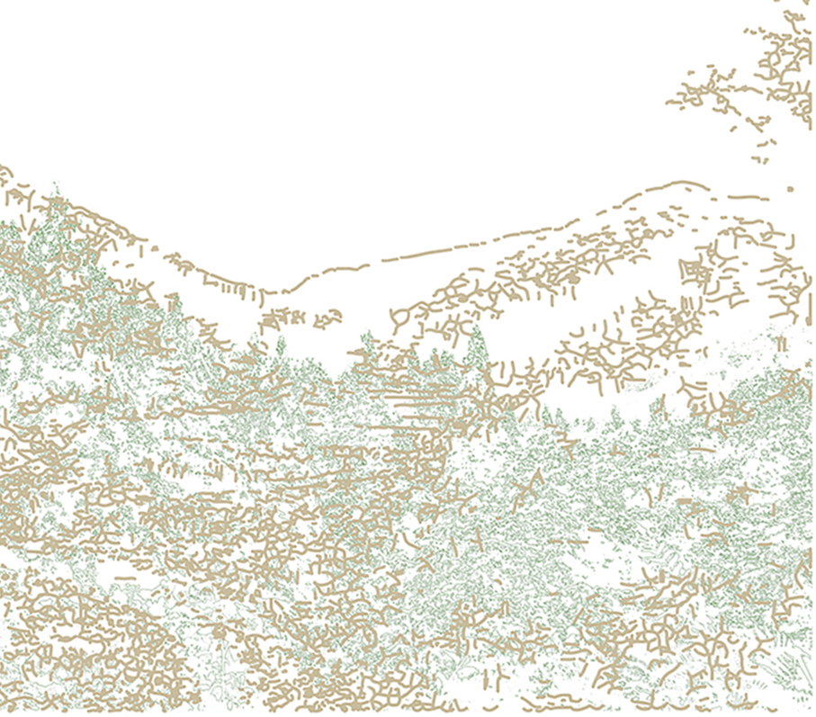 「山の織 雪の色」Weaving Mountain, Coloring Snow